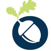 Cambridge International School